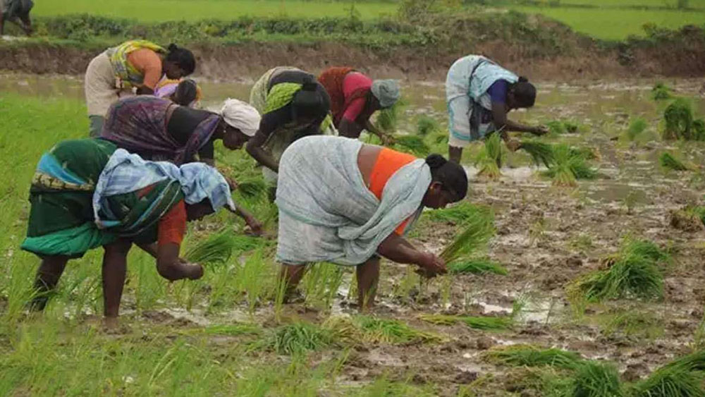 রাজনৈতিক বিশ্লেষক ও সমাজকর্মীদের মত, সরকার চাইছেন কৃষিকাজ লাভজনক হোক এবং কৃষকের রোজগার দ্বিগুণ হোক। অন্যদিকে যাঁরা বিরোধিতা করছেন,তাঁদের আশঙ্কা, বিপণন যেহেতু  সম্পূর্ণ লগ্নিভিত্তিক, এতে কৃষক কোথাও নেই, তাই এর লাভ পুরোটাই কর্পোরেটের ঘরে যাবে। এই শঙ্কা যদি সত্যি প্রমাণিত হয়, তা হলে কিন্তু সরকার যা করতে চাইছেন, বাস্তবে ঠিক তার উল্টোটি হবে এবং ব্যাপক জনরোষ সৃষ্টি হবে। সেরকমই ধারণা বিভিন্ন মহলে।