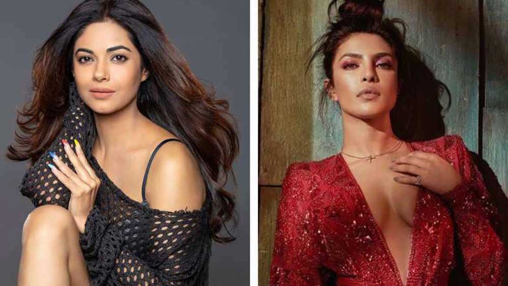 প্রিয়ঙ্কার সঙ্গে আত্মীয়তা কি কাজ পেতে সাহায্য করেছে? উত্তরে মীরা জানিয়েছেন, তাঁকে সাহায্য করতে প্রিয়ঙ্কা সবসময়েই আগ্রহী। কিন্তু তিনি কোনওদিন তারকা-দিদির কাছে সাহায্য চাননি। কারণ তাঁর মনে হয়েছে নিজের যুদ্ধটা নিজেকেই লড়তে হবে।