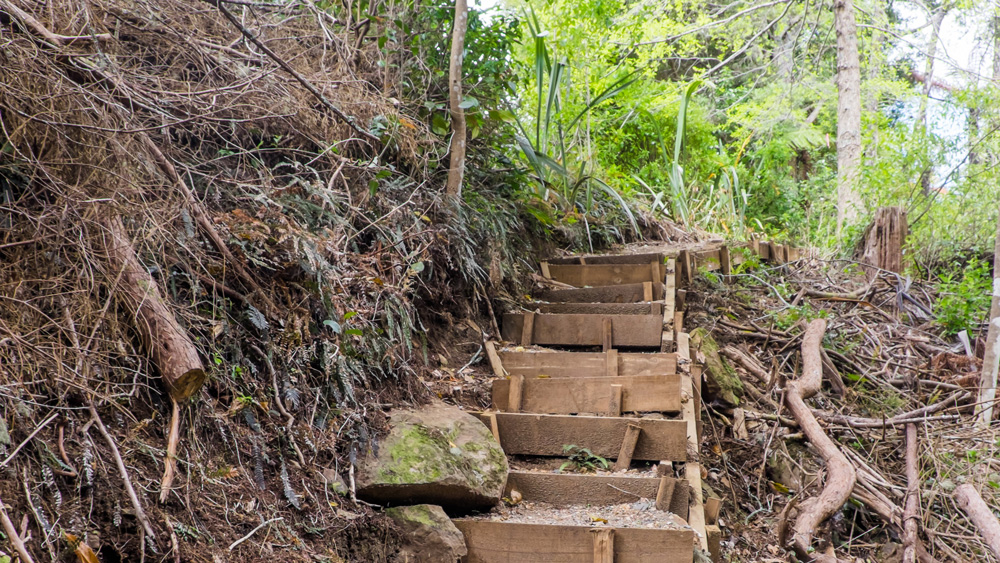 পরবর্তী সময়ে ‘তে ওয়াইরোয়া’-এ খননের ফলে বেশ কিছু জিনিস আবিষ্কৃত হয়েছে। মাওরি উপজাতিদের অতীত জনপদের সেই জিনিসগুলি দেখতে ভিড় জমান পর্যটকরা।