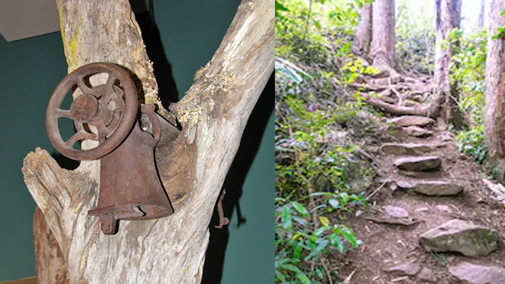 অগ্ন্যুৎপাতে ধ্বং‌স হয়ে যাওয়া শহরের ধ্বংসাবশেষে সেই মেশিন ঝুলছিল গাছ থেকে। পরে পচে যাওয়া সেই গাছ কেটে নামানো হয় সেলাই মেশিনটিকে। ঐতিহাসিক নিদর্শনটির এখন জায়গা হয়েছে সংগ্রহশালায়।