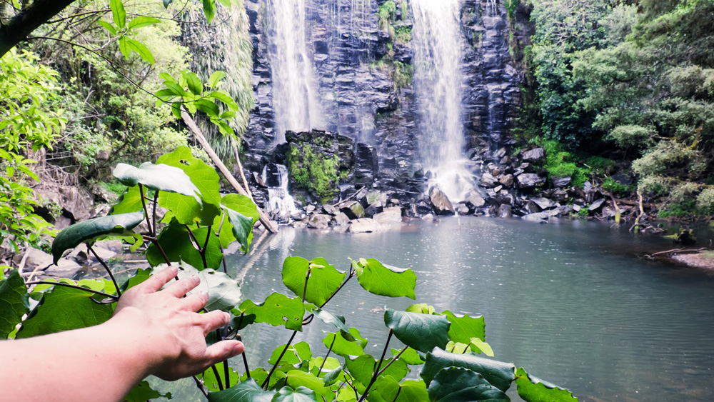 বিস্ময়কর বিষয় হল, এই মৃত জনপদ কিন্তু ব্যক্তিগত সম্পত্তি। ১৯৩১ সালে ‘তে ওয়াইরোয়া’ কিনে নেন এক দম্পতি, রেগ এবং ভি স্মিথ। সে সময় এই জমিতে একটি মাত্র বাড়ি ছিল। স্মিথ দম্পতি কিনে নেওয়ার পরে শুরু হয় খননকাজ।