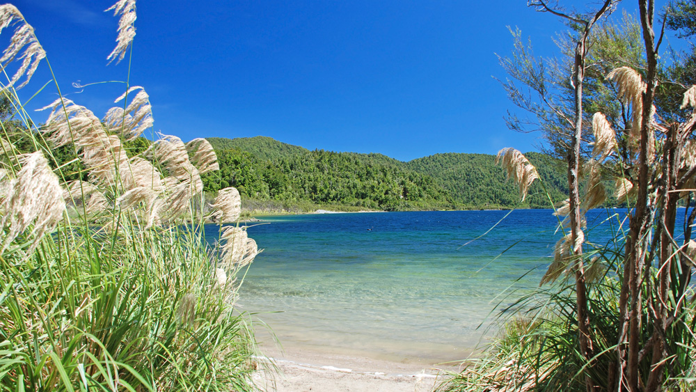 ভৌতিক পরিচয় পেলেও ‘তে ওয়াইরোয়া’ গ্রামে পর্যটকদের জন্য বিভিন্ন সুযোগ সুবিধে আছে। প্রকৃতির কোলে জীবন্ত হয়ে থাকা ইতিহাসের টানে পা রাখেন আগ্রহীরা।