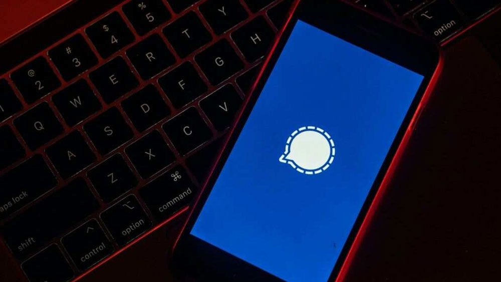 ২০১৪ সালে বাজারে এসেছিল এই অ্যাপ। তবে মূলত ২০১৯ সাল থেকেই জনপ্রিয়তা পেতে শুরু করে এটি। আর হোয়াটসঅ্যাপের নীতি বদলের ফলে দ্রুত বাড়তে শুরু করেছে এর ব্যবহারকারীর সংখ্যা।