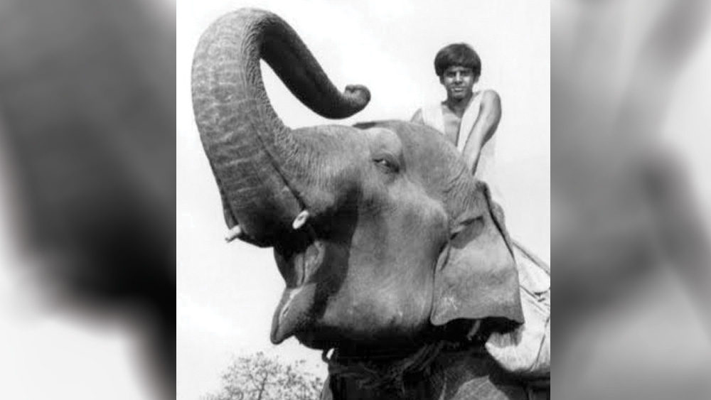 ১৯৬৬ সালে হলিউডের ছবিতে আত্মপ্রকাশ সাজিদের। অভিনয় করেন ‘মায়া’ ছবিতে। পরে ‘মায়া’ টেলিভিশন সিরিজ হিসেবেও দেখা যায়। সেখানেও প্রধান মুখ ছিলেন সাজিদই।