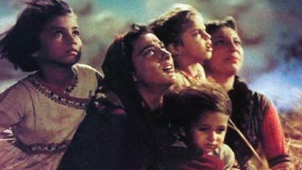 বর্তমানে সাজিদ অলঙ্কার ব্যবসায়ী। তাঁর সংস্থা ‘আর্টিস্টিক’ কস্টিউম জুয়েলারি তৈরি করে। এক সময়ে মুম্বইয়ের বস্তির বাসিন্দা সাজিদের উত্তরণ যেন রূপকথার পাতা থেকে উঠে এসেছে।