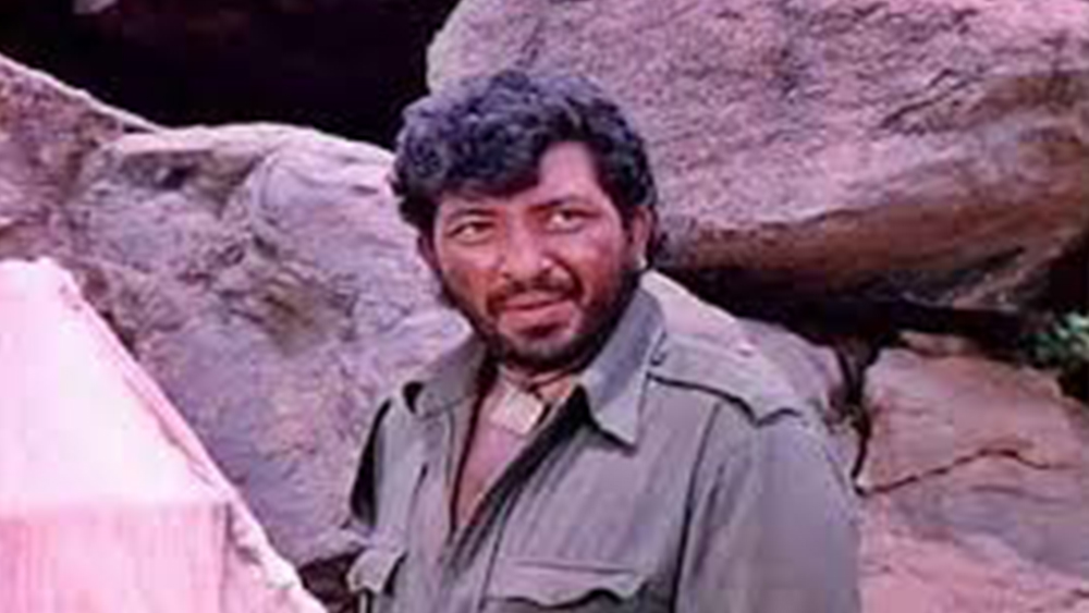 ছোট থেকেই তাঁর লেখালেখির শখ ছিল। এ বার তিনি চিত্রনাট্য লেখার কাজে হাত দিলেন। ‘লকীড়’ এবং ‘সন্ধ্যা’ ছবির চিত্রনাট্য তিনি লিখেছিলেন। শাদাবের কথায়, তিনি লেখালেখির শখ পেয়েছিলেন তাঁর বাবার কাছ থেকে। প্রসঙ্গত হিন্দি সিনেমায় আসার আগে আমজাদও নাটক লিখতেন। ইচ্ছে ছিল সাংবাদিক হওয়ার। কিন্তু ঘটনাচক্রে তাঁর জীবনের মোড় পাল্টে যায়।