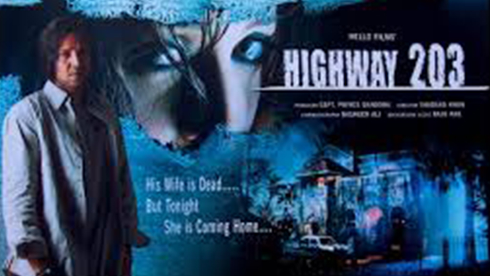 ইন্ডাস্ট্রিতে বার বার ফিরে আসার চেষ্টা করেছেন শাদাব। অভিনেতা হিসেবে ব্যর্থ হলেও তিনি চেষ্টা করেছেন লেখক এবং পরিচালক হিসেবে নিজেকে প্রতিষ্ঠিত করার। ২০০৭ সালে ‘হাইওয়ে ২০৩’ এবং ২০১৯-এ ‘মিনি ব্যানার্জি ঘর মেঁ হ্যায়’ পরিচালনা করেন তিনি। কিন্তু দু’বারই সাফল্য অধরা থেকে যায় তাঁর কাছে। ছবি দু’টির কাহিনিকারও ছিলেন তিনি।