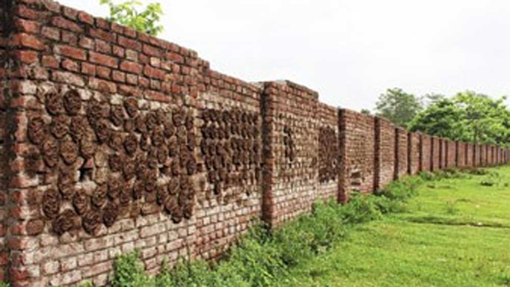 Walls as a social medium