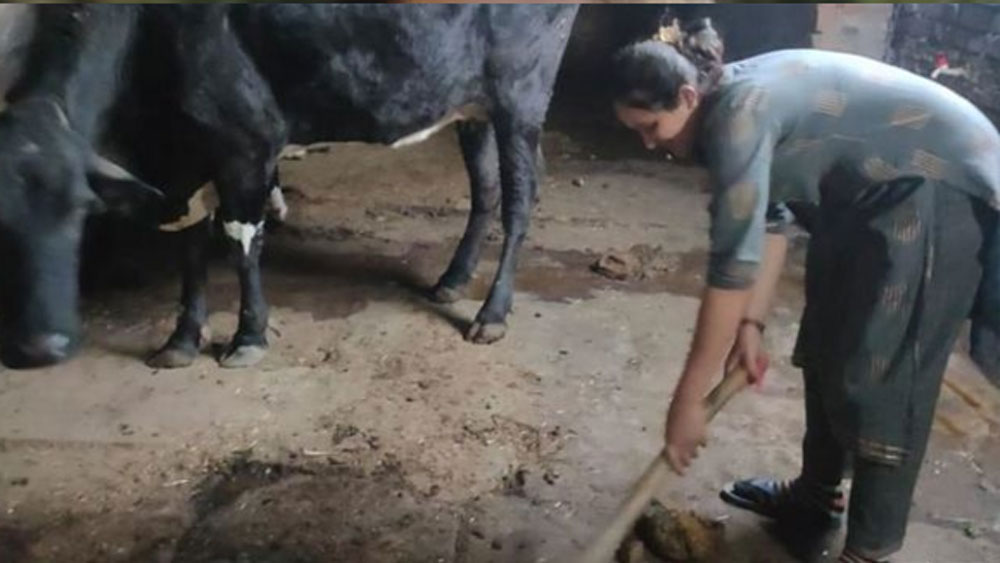 তার পর সারাদিন গোয়ালেই কাটে। গোবর তোলা, গরুকে স্নান করানো, খাওয়ানোর কাজ সেরে নিজে পড়তে বসেন।