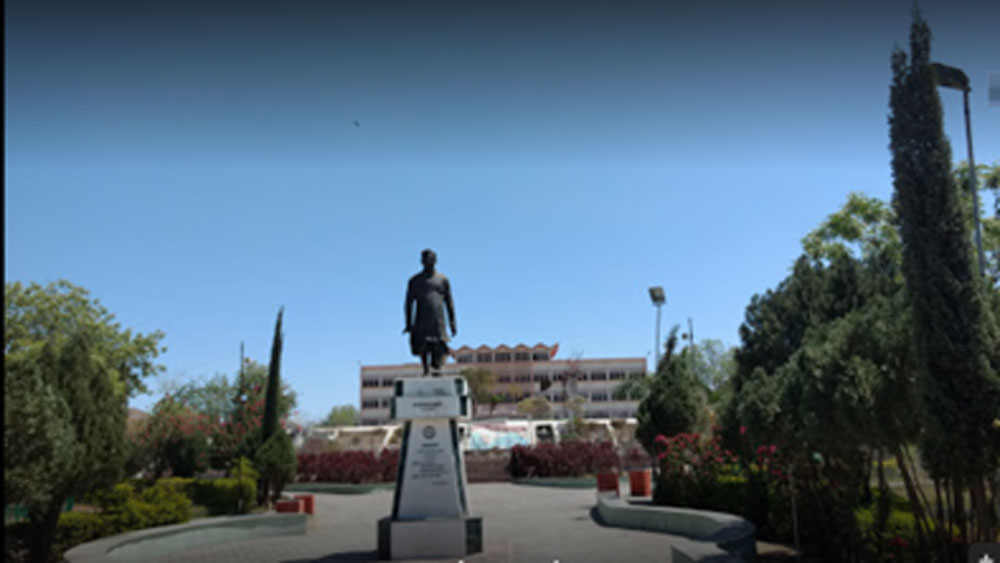 তাঁর কলেজের নাম ছিল মোহনলাল সুখোদিয়া বিশ্ববিদ্যালয়। কলেজের পরীক্ষাতেও ভাল ফল করেছিলেন তিনি।