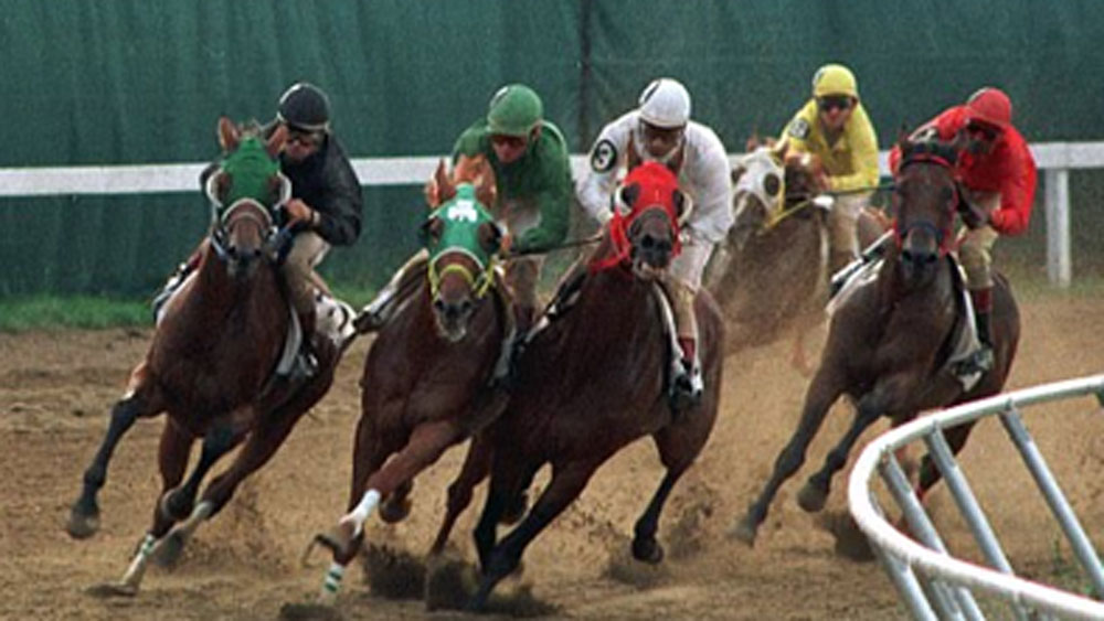 প্রতিষেধকের ব্যবসার চৌহদ্দির বাইরে যদি আর কোথাও পুনাওয়ালা পরিবারের সদস্যদের দেখা পাওয়ার সম্ভাবনা বেশি হয়, তবে তা অবশ্যই রেসের মাঠে। ঘোড়া তাঁদের ‘প্যাশন’।