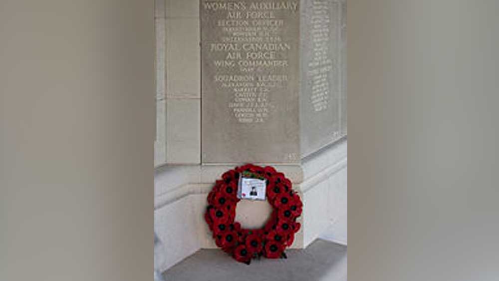 শিশু মনস্তত্ত্ব নিয়ে পড়ার পরে ছোটদের জন্য গল্প ও কবিতা লিখতে শুরু করেন নূর। ছোটদের পত্রিকা এবং ফরাসি রেডিয়ো চ্যানেলে তিনি ছিলেন পরিচিত নাম। ১৯৩৯ সালে প্রকাশিত হয় তাঁর বই ‘টোয়েন্টি জাতকা টেলস’। বৌদ্ধধর্মের জাতককাহিনী অনুসরণে লেখা বইটি প্রকাশিত হয়েছিল লন্ডনেই। পাশাপাশি, তিনি পিয়োনা ও হার্পবাদনেও ছিলেন সিদ্ধহস্ত।