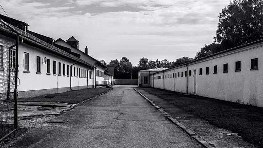 কোন দেশকে মাতৃভূমি বলে মনে করবেন? জানতেন না নূর। তাঁর বাবার সুফিবাদে অনুপ্রাণিত হয়ে বিশ্বমানবতাই ছিল তাঁর দেশ। ডাকাউ ক্যাম্পের এক ওলন্দাজ বন্দি পরে জানিয়েছিলেন মৃত্যুর আগে নূরের শেষ উচ্চারিত শব্দ ছিল ‘লিবার্তে’। কার মুক্তি চেয়েছিলেন শিকড়হীন রাজউত্তরসূরি? নিজের যন্ত্রণাবিদ্ধ জীবন থেকে কি? উত্তর চলে গিয়েছে তাঁর সঙ্গেই।