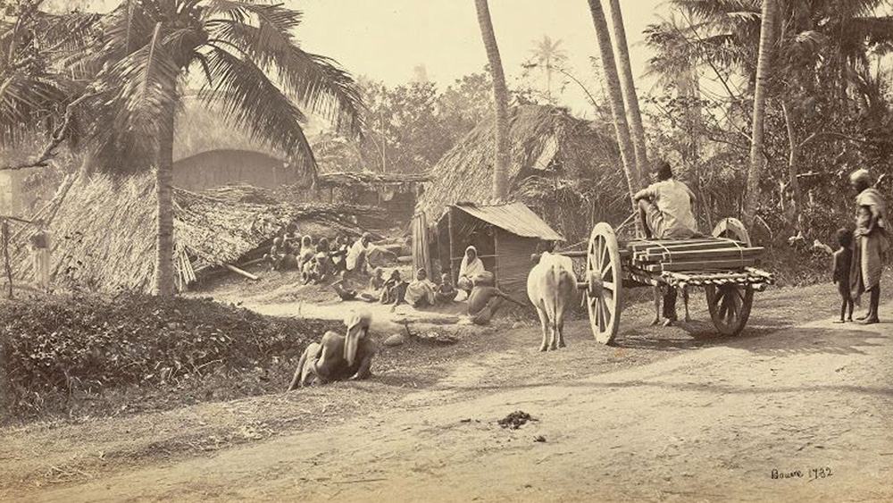 কাজের ক্ষেত্রে তিনি ক্যাপ্টেন পদে উন্নীত হন। সেনা হাসপাতালের চাকরি ছেড়ে তিনি ভারতে ফিরে আসেন ১৯২৫ সালে। কারণ চাকরি করতে তাঁর আর ভাল লাগছিল না। ছাত্রজীবনে যেদিন থেকে আনাজপাতি বিক্রি করে পড়াশোনা করেছিলেন, সেদিন থেকেই ব্যবসা করার ইচ্ছে জাঁকিয়ে বসে ছিল তাঁর মনে। ভারতে ফিরে চাকরিতে যোগ না দিয়ে কৃষ্ণনগরে ৭০-৮০ বিঘা জমি ইজারা নিলেন। সেখানে ফলের বাগানের পাশাপাশি দীঘিতে মাছের চাষ করতেন। তাঁর কথায় ভাইও চাকরি ছেড়ে দাদার ব্যবসায় যোগ দিয়েছিলেন।