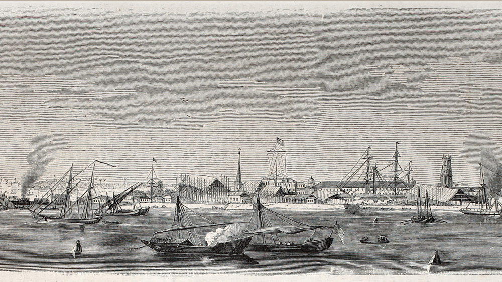 সংস্থাটি প্রথমে ছিল কর্নওয়ালিশ স্ট্রিটে। তার পর ঠিকানা বদলে চলে আসে প্রিন্সেপ স্ট্রিটে। বিধানচন্দ্র রায়ের সহপাঠী বন্ধু চিকিৎসক অমূল্যচরণ চক্রবর্তীও এই সংস্থার হাল ফেরাতে পারেননি। নরেন্দ্রনাথ যখন স‌ংস্থার দায়িত্ব নেন, তখন এর কোষাগারে পড়ে মাত্র ৪১ টাকা। বাজারে দেনা ৩৪ হাজার টাকার বেশি। দায়িত্ব নেওয়ার পরে নরেন্দ্রনাথ প্রথমেই ঠিক করলেন ওষুধ তৈরি থেকে কেনা-বেচা— সব দিকেই নজর রাখবেন তিনি নিজে।