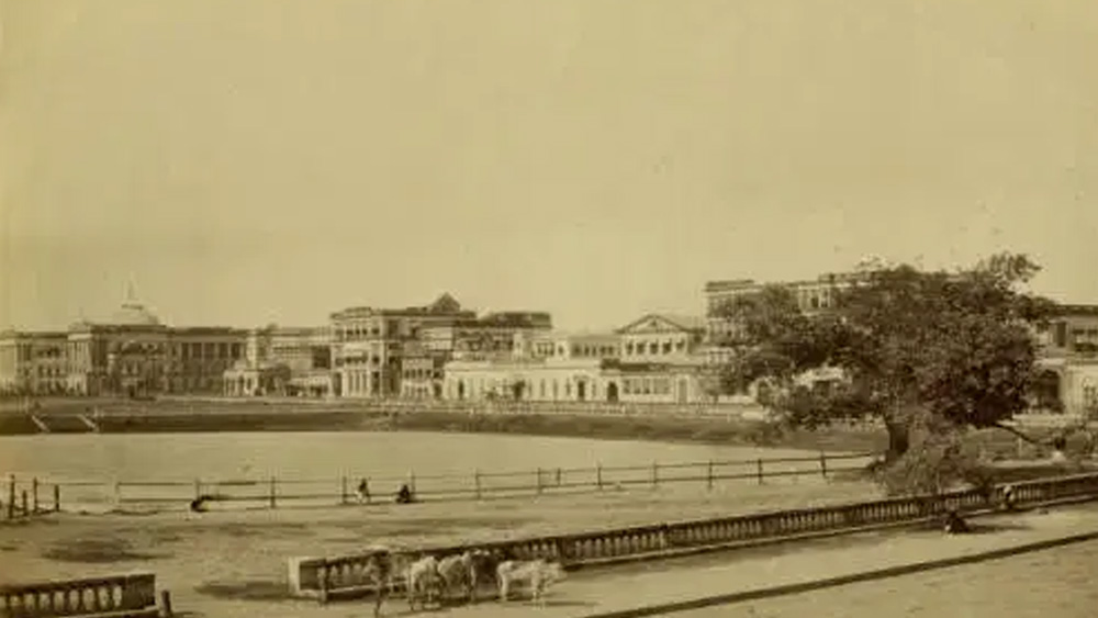 তখন সংস্থার অফিস ধর্মতলা স্ট্রিটে। সংস্থার আস্তাবল ছিল যাদবপুরে। সেখানেই গবেষণার জন্য প্রয়োজনীয় ঘোড়া রাখা থাকত। তাদের দেহ থেকে রক্ত নেওয়া হত অ্যান্টি ভেনম প্রতিষেধক তৈরির জন্য। ‘অ্যান্টি ভেনম’ বা সাপের বিষের ওষুধ তৈরির পাশাপাশি ‘অ্যান্টি র‌্যাবিস’ ওষুধ তৈরির ক্ষেত্রেও এই সংস্থার উল্লেখযোগ্য ভূমিকা ছিল। নরেন্দ্রনাথ দায়িত্ব গ্রহণের পরে দ্রুত অবস্থার পরিবর্তন হয় এই সংস্থার। ১৬ মাসের মধ্যে সংস্থার ৩৪ হাজার টাকা দেনা তো শোধ তো হয়েই যায়। সেইসঙ্গে আরও ১ হাজার টাকা উদ্বৃত্ত থাকে। এই সময়পর্বের জন্য নরেন্দ্রনাথ কোনও পারিশ্রমিক নেননি।