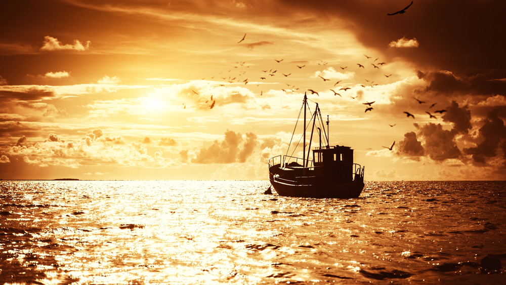 মোট ২০ রকমের ওষুধ তৈরি করত বেঙ্গল ইমিউনিটি। এছাড়াও কেমিস্ট্রি, বায়োকেমিস্ট্রি, নিউট্রিশন, ফিজিয়োলজি, ফার্মাকোলজি-সহ বিভিন্ন বিষয়ের ল্যাবরেটরি তৈরি হয়। অন্যান্য ব্যবসাতেও ধীরে ধীরে পা রাখে ‘বেঙ্গল ইমিউনিটি’। ওষুধ এবং চিকিৎসাবিজ্ঞান ছাড়াও নরেন্দ্রনাথের কাজের পরিধি ছিল আরও বিস্তৃত। গভীর সমুদ্রে ধীবরদের যাতে মাছ ধরার সুবিধে হয় তার জন্য ভাবনাচিন্তা করতেন তিনি। দেশীয় প্রযুক্তিতে উন্নত ট্রলার তৈরির জন্য স্থাপন করেছিলেন ‘ইন্ডিয়ান ট্রলার কোম্পানি’।