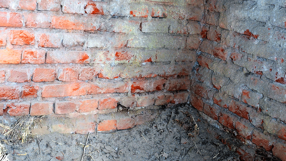 explosion in house of BJP worker in Durbajpur