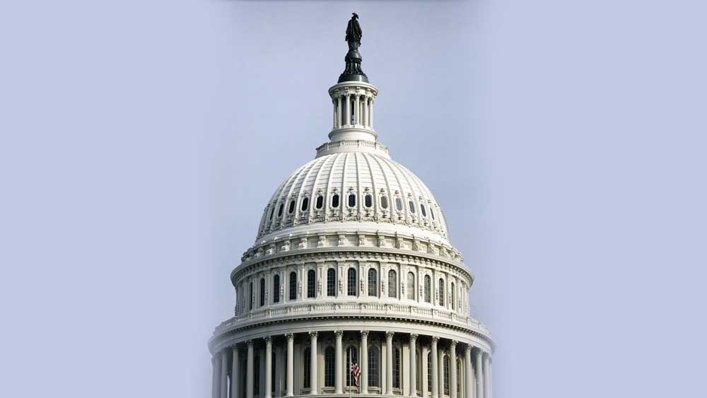 ১৭৯৩ খ্রিস্টাব্দ থেকে শুরু করে এখনও অবধি মোট ১১ জন এই ভবনের মূল স্থপতির দায়িত্বে ছিলেন। বর্তমানে এই পদে আছেন স্টিফেন টি আইয়ারস। বর্তমানে যে গম্বুজটি এর উপরে দেখা যায়, সেটি অগ্নিকাণ্ডের পরে তৈরি করতে সময় লেগেছিল ১১ বছর।