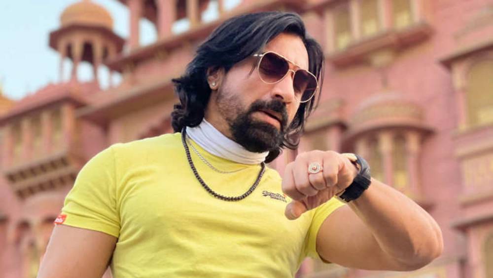 বলিউডে ভাল সুযোগ না পেয়ে তিনি সরে গিয়েছিলেন দক্ষিণী ইন্ডাস্ট্রিতে। ‘নায়ক’, ‘বাদশা’, ‘টেম্পার’ তাঁর তেলুগু ছবিগুলির মধ্যে উল্লেখযোগ্য।