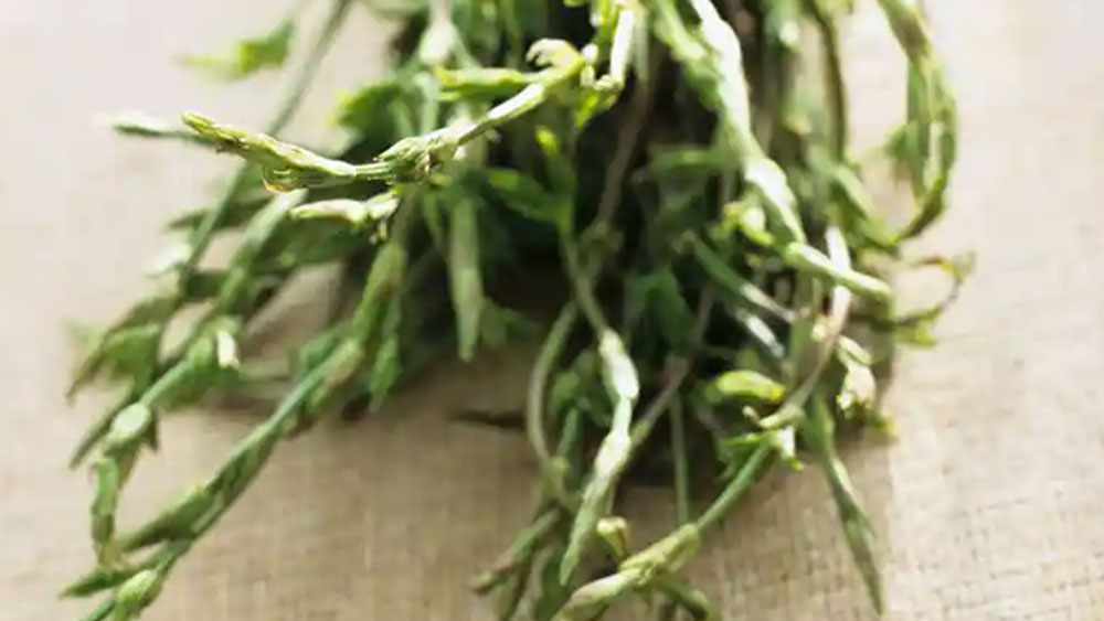 মূলত পানীয় তৈরিতেই প্রথম এই গাছের ব্যবহার সারা বিশ্বে জনপ্রিয় হয়ে ওঠে। তারপর ধীরে ধীরে এর ঔষধি গুণ সামনে আসতে শুরু করে।