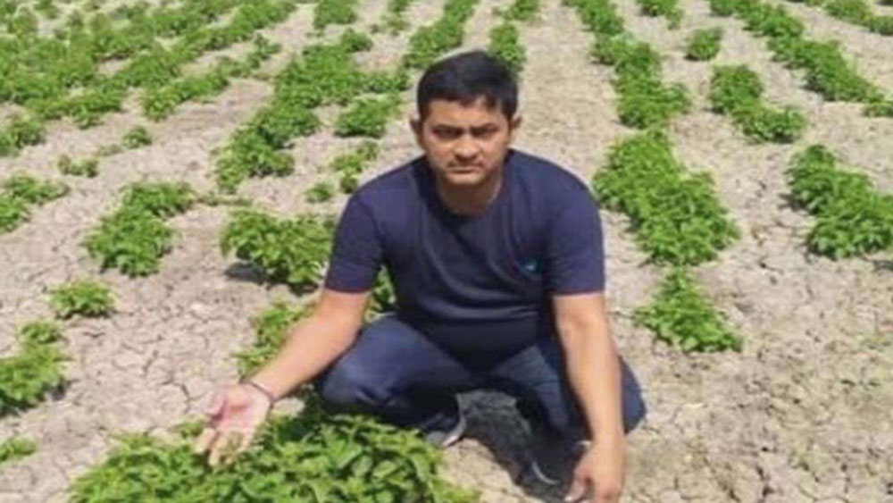 বিহারের ওই ব্যক্তির নাম অমরেশ সিংহ। ভারতে তিনিই প্রথম এই সব্জির চাষ করছেন। আর সব্জিটির নাম হপ শুটস।