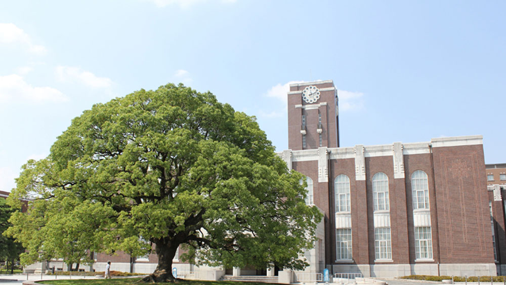 এমনি দাবি করছেন জাপানের কিয়োটো ইউনিভার্সিটি গ্রাজুয়েট স্কুল অব মেডিসিনের একদল গবেষক।