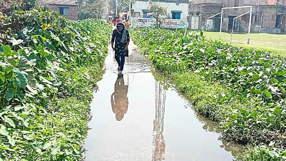 চৈত্র মাসেও এ ভাবে রাস্তায় দাঁড়িয়ে থাকে জল। 