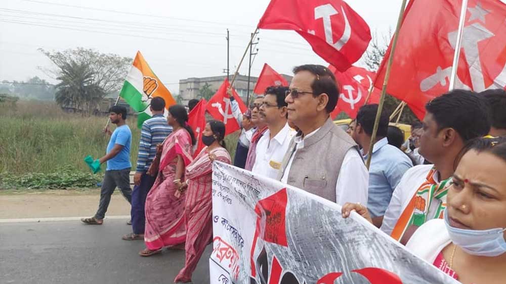 তিনি নিজেকে সমাজকর্মী এবং রাজনীতিক হিসেবে উল্লেখ করেছেন। মূল উপার্জন হিসেবে বলা হয়েছে সাংসদ হিসেবে প্রাপ্ত পেনশনকে। তাঁর স্ত্রী রাজ্যের স্বাস্থ্য দফতরের মেডিক্যাল অফিসার।