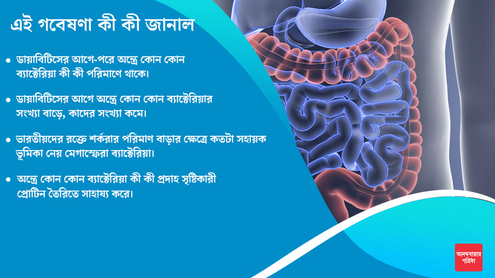 গ্রাফিক- নিরূপম পাল।