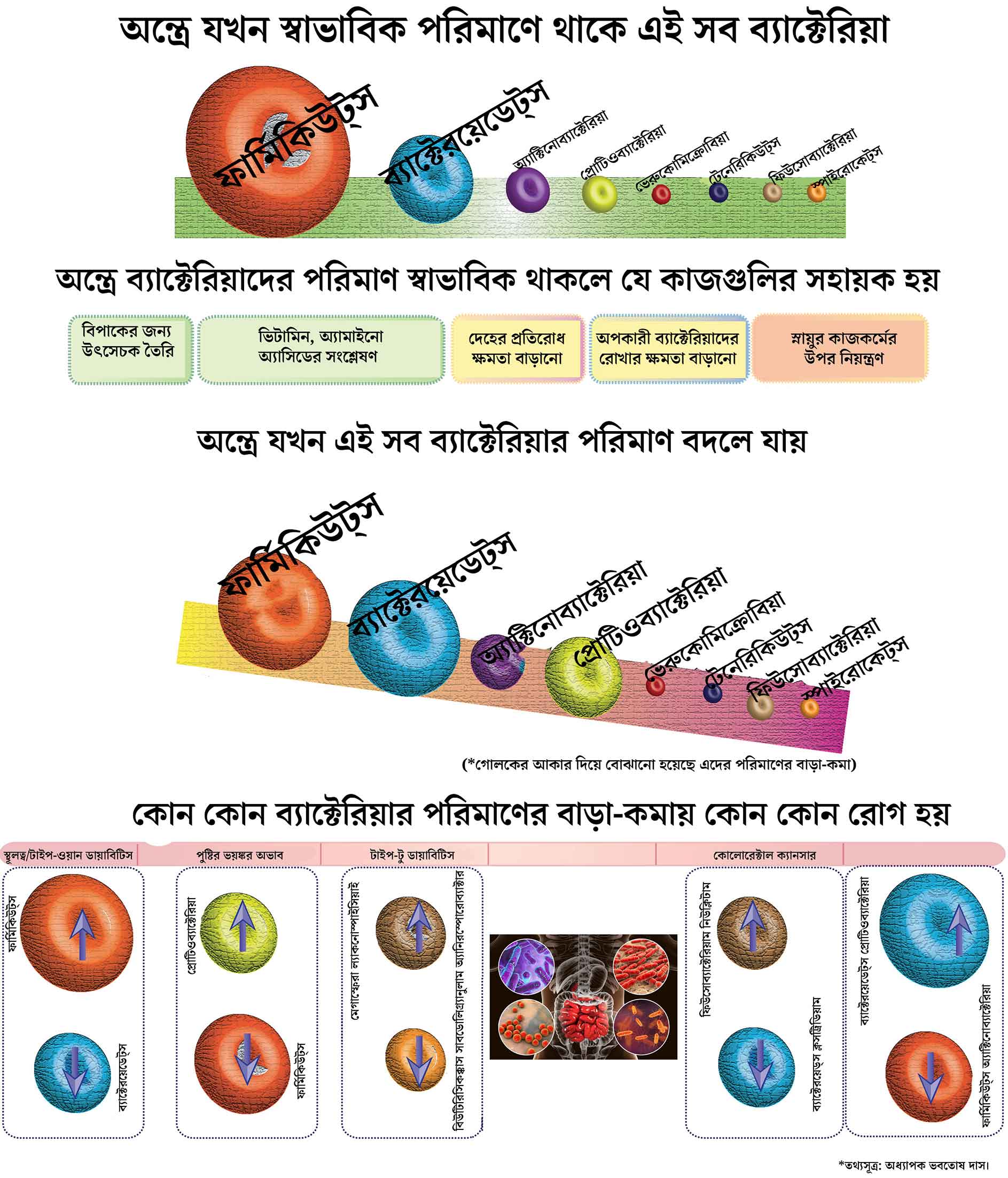গ্রাফিক- নিরূপম পাল।