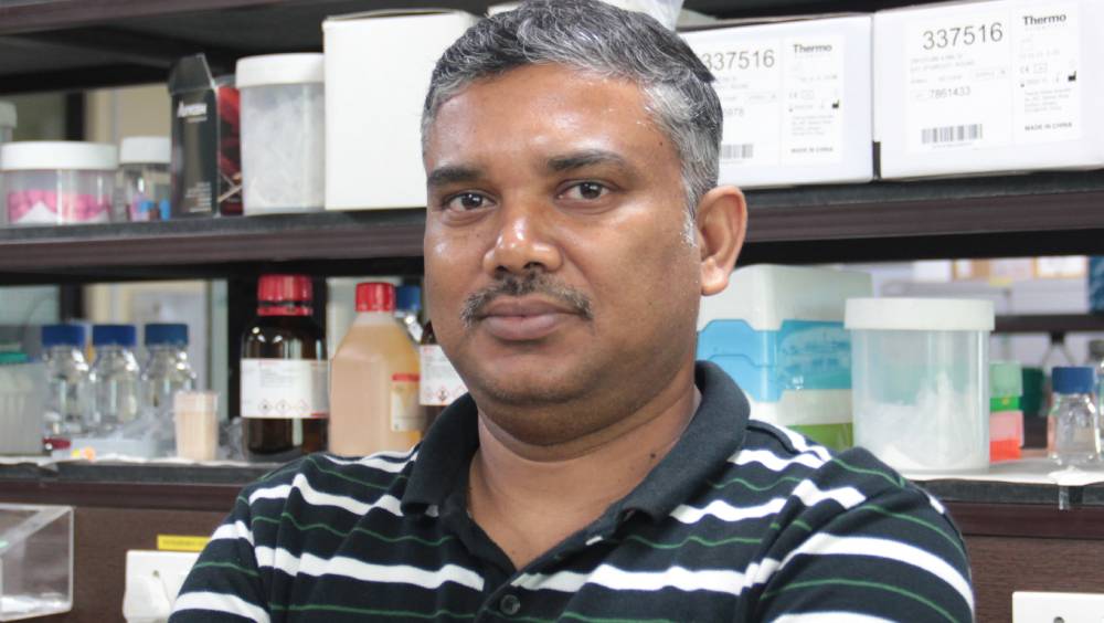 ফরিদাবাদে টিএইচএসটিআই-এর গবেষণাগারে অধ্যাপক ভবতোষ দাস। -নিজস্ব চিত্র।