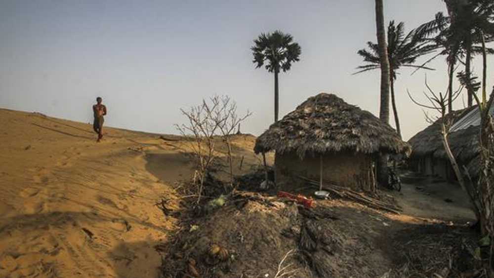 এর মধ্যে শুধু কেন্দ্রাপাড়া জেলা হারিয়েছে ৩১ কিলোমিটার উপকূল অঞ্চল।