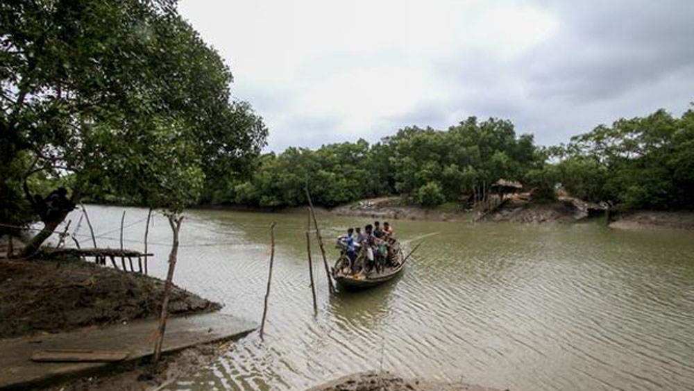 ন্যাশনাল সেন্টার ফর কোস্টাল রিসার্চ-এর হিসাব অনুযায়ী ১৯৯০ সাল থেকে ২০১৬ সালের মধ্যে ওড়িশা তার মোট ৫৫০ কিলোমিটার উপকূল অঞ্চলের মধ্যে ২৮ শতাংশ হারিয়ে ফেলেছে।