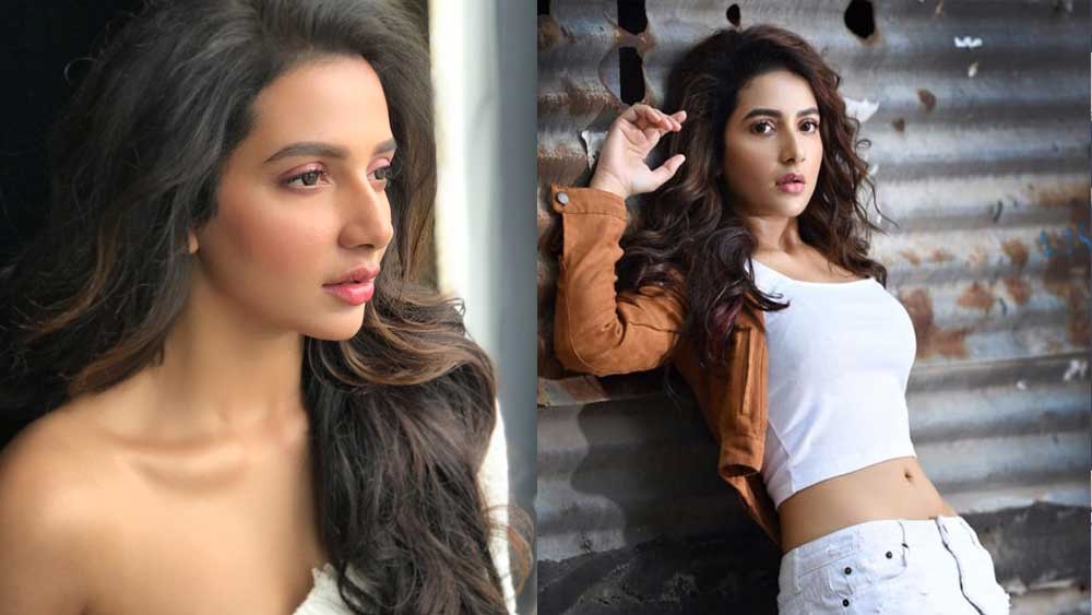 রাজের স্ত্রী শুভশ্রীর নামে ব্যাঙ্কের বিভিন্ন অ্যাকাউন্টে গচ্ছিত আছে ৫ লক্ষ ৮ হাজার ৭৪৭ টাকা ১১ পয়সা, ২ হাজার ৬৭২ টাকা ৫৭ পয়সা, ২৪ লক্ষ ৪২ হাজার ৬১১ টাকা ৭৯ পয়সা এবং ২৪ লক্ষ ১৫ হাজার ৪২৮ টাকা ১০ পয়সা।