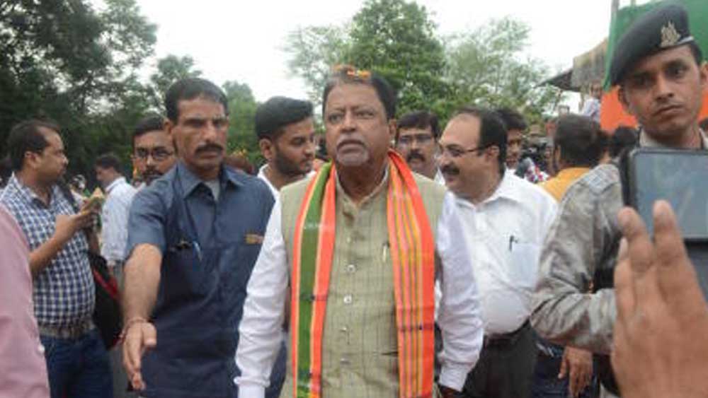 ডাকঘর সঞ্চয় প্রকল্প এবং জীবনবিমা ক্ষেত্রে মুকুল ও তাঁর স্ত্রী কিছু বিনিয়োগ করেননি।