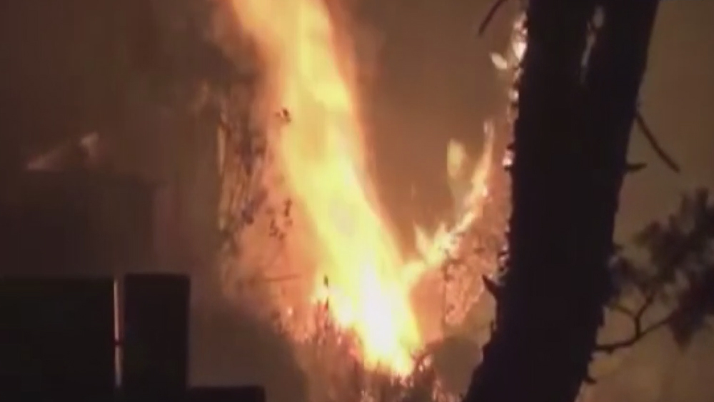 Wildfire keeps burning forest of uttarakhand dgtl