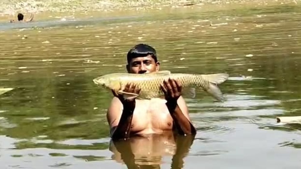 WB Election 2021: miscreants spread pesticide into pond of a BJP worker in Dhupguri dgtld