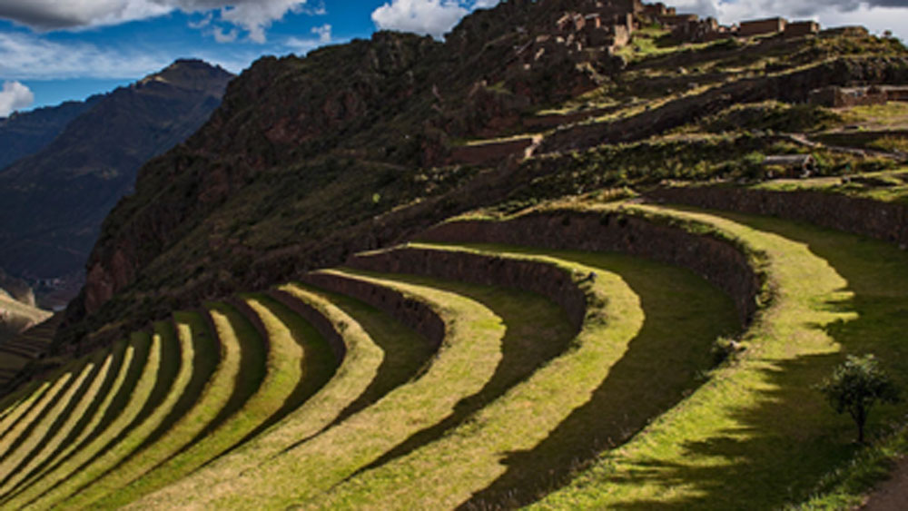দু’জনের কাছেই এটা অত্যন্ত বিস্ময়ের ছিল যে, বইয়ে ওই সময়ে ওই এলাকার জনসংখ্যা, নারী-পুরুষ সংখ্যা ইত্যাদি বিভিন্ন বিষয়ে যা যা তথ্য রয়েছে খুব ভাল ভাবে খিপুগুলিকে পর্যবেক্ষণ করলে বইয়ের তথ্যের সঙ্গে অনেক মিল পাওয়া যায়।