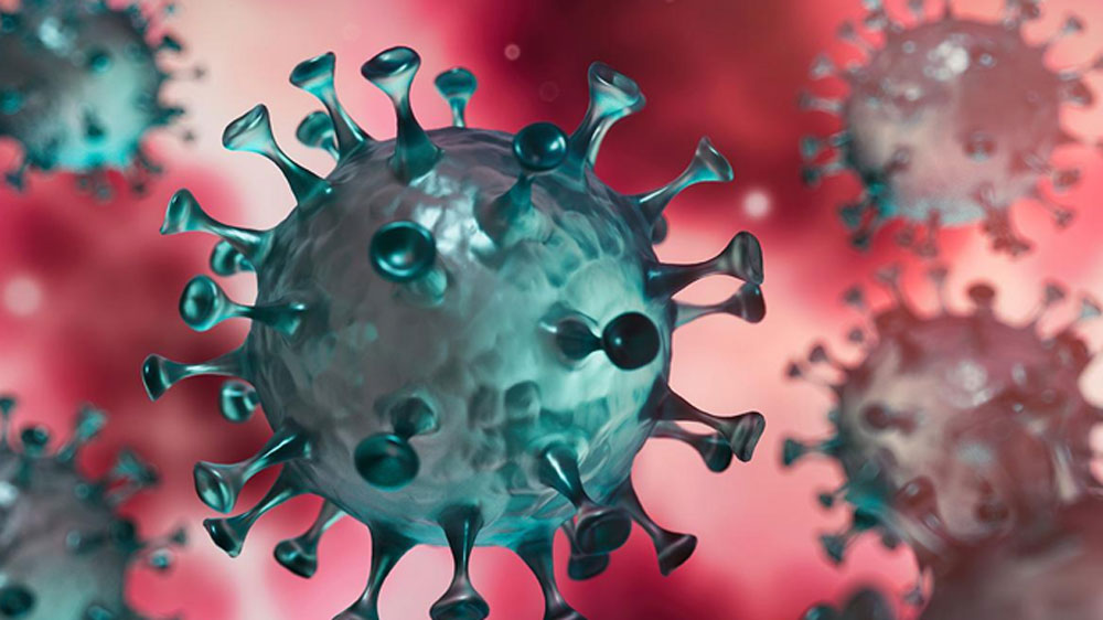 এত কিছুর মধ্যেও এই অতিমারি থেকে সততই দূরত্ব বজায় রেখেছে একটি ছোট গ্রাম! করোনা নাকি এখনও ঢুকতেই পারেনি সেখানে।