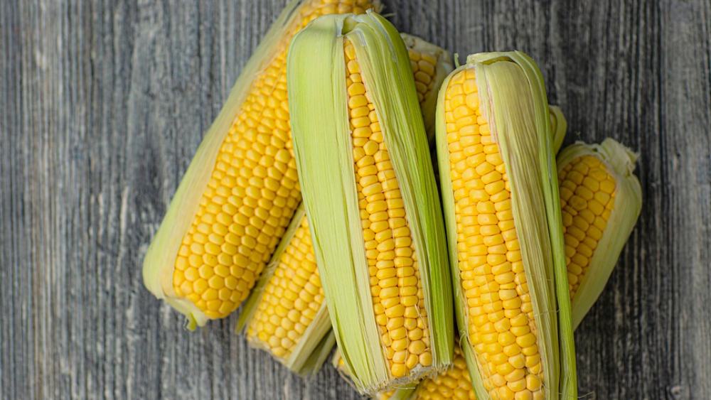 ১৩ বছরের ওই নাবালিকা এবং তার পাশে পাওয়া চার এবং পাঁচ বছরের দুই খুদের শরীর থেকেও কোকো পাতা আর ভুট্টার মদের সন্ধান মেলে। কেন তারা এত মাত্রায় মদ খেত তা নিয়ে নানা মত রয়েছে প্রত্নতত্ত্ববিদদের।