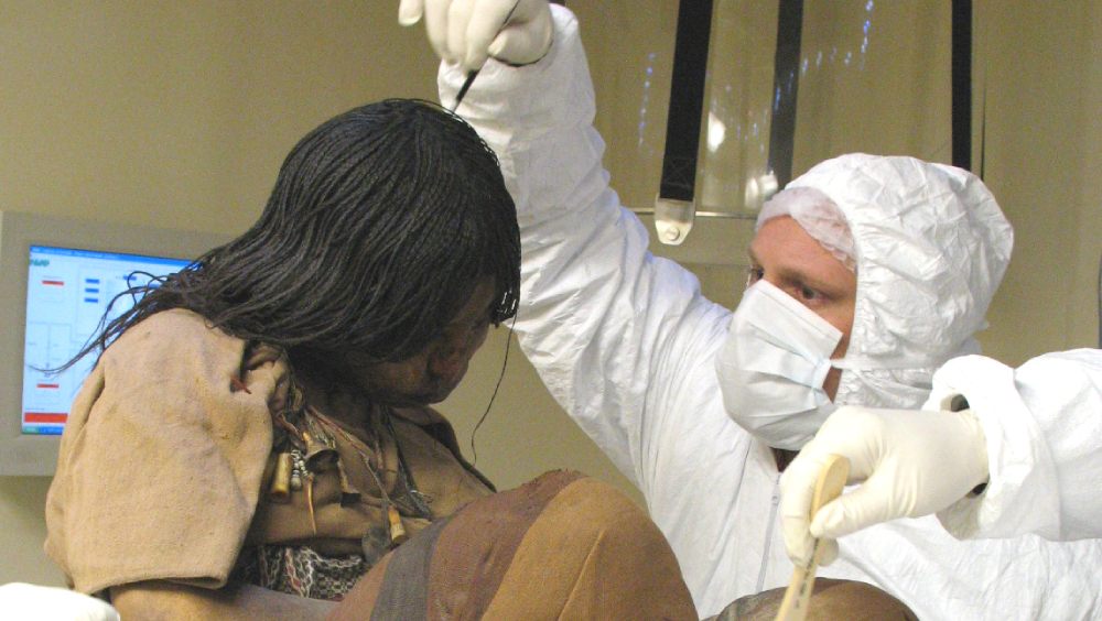 প্রত্নতত্ত্ববিদদের মতে, লুলাইলাকোর ওই তিন মমিই আসলে নরবলির নিদর্শন। তাদের মধ্যে ১৩ বছরের নাবালিকাকে ‘লুলাইলাকো কুমারী’ নাম দেওয়া হয়। তাকেই মূলত ঈশ্বরের কাছে উৎসর্গ করা হয়েছিল। বাকি দুই খুদেকে রাখা হয়েছিল তাকে সঙ্গ দেওয়ার জন্য। মরার জন্য এই তিন জনকেই আন্দিজ পর্বতের মাথায় ওই এলাকায় ছেড়ে দেওয়া হয়েছিল।