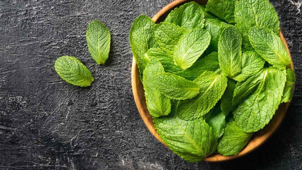 পুদিনা কমাতে পারে ত্বকের প্রদাহ। 