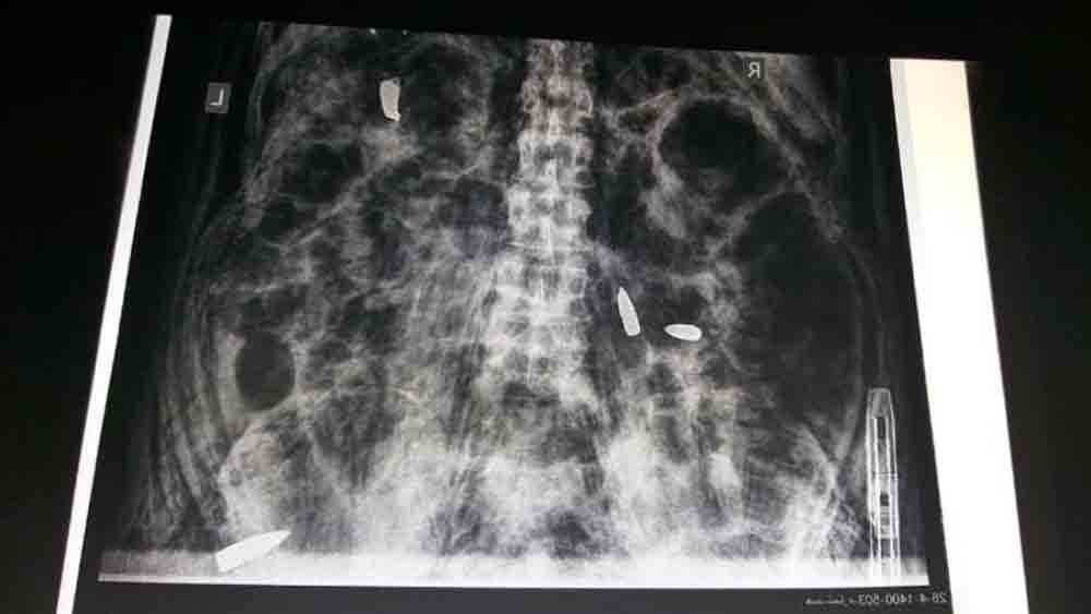 ছবি সংগৃহীত