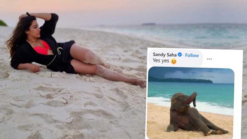 ঐন্দ্রিলার ছবিতে স্যান্ডির মন্তব্য