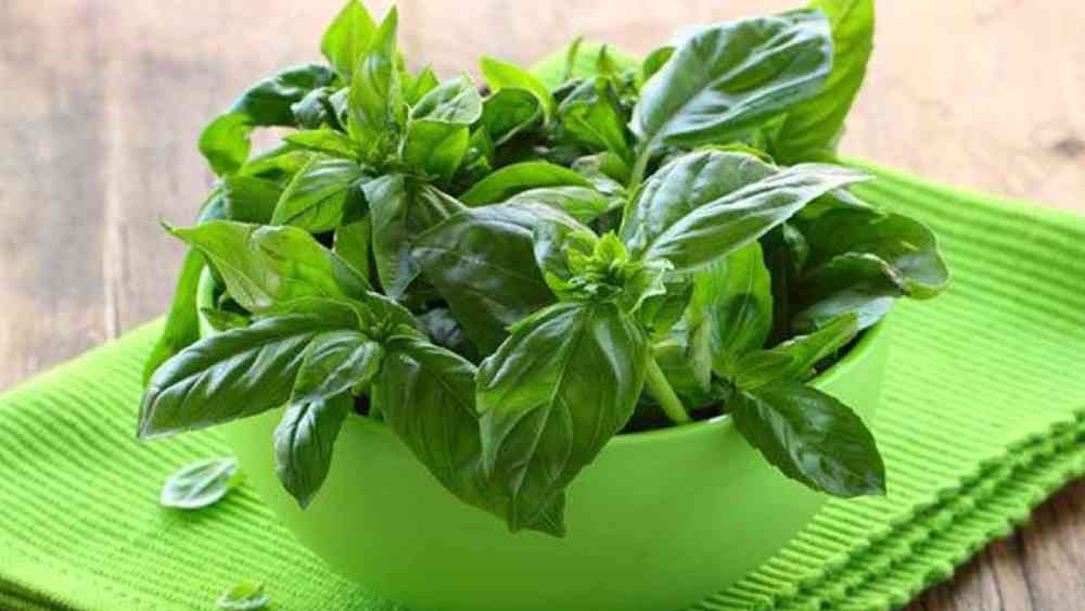 প্রতীকী ছবি।