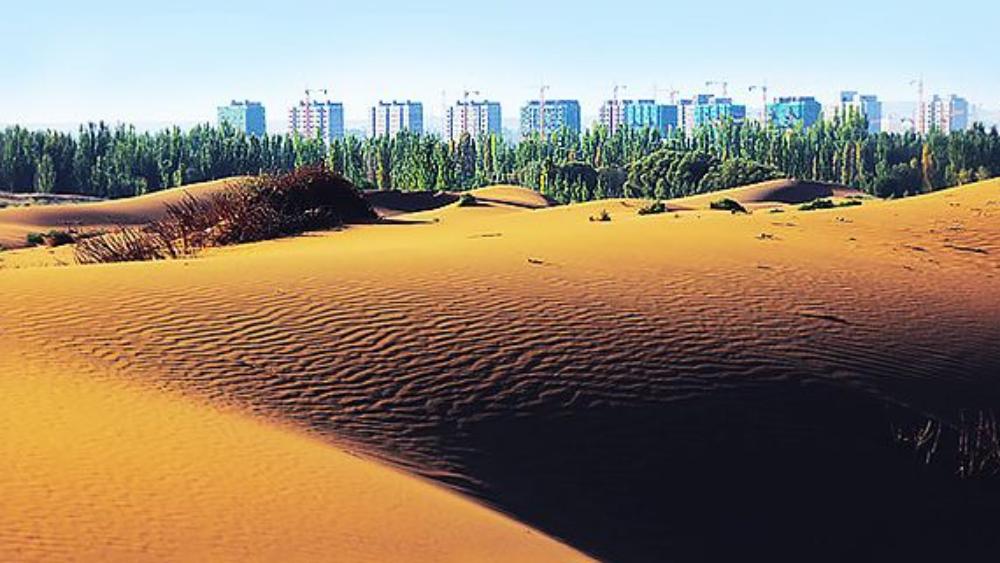 তিন, এতে জঙ্গলের লুপ্ত হওয়ার সম্ভাবনাও অনেক বেশি। কারণ, যেহেতু একই ধরনের গাছ রয়েছে সেখানে, তাই কোনও একটি রোগেই সমস্ত গাছ মারাও যেতে পারে।