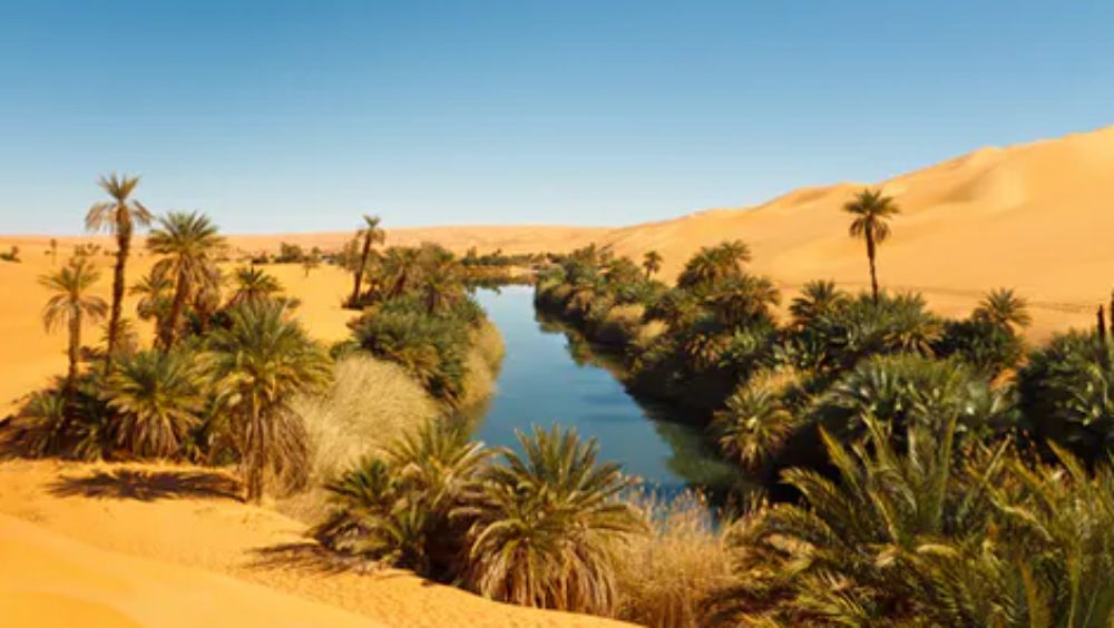 চিনের প্রসঙ্গ উঠলে প্রথমেই চিনের প্রাচীরের কথা মাথার আসে। বহিঃশত্রুর আক্রমণ থেকে দেশকে রক্ষা করার জন্য ২১ হাজার ১৯৬ কিলোমিটার জুড়ে গড়ে তোলা হয়েছিল এই প্রাচীর। তেমনই আর এক রেকর্ড গড়ার লক্ষ্যে চিন। এ বার আরও এক প্রাচীর গড়ে তুলতে চলেছে চিন।