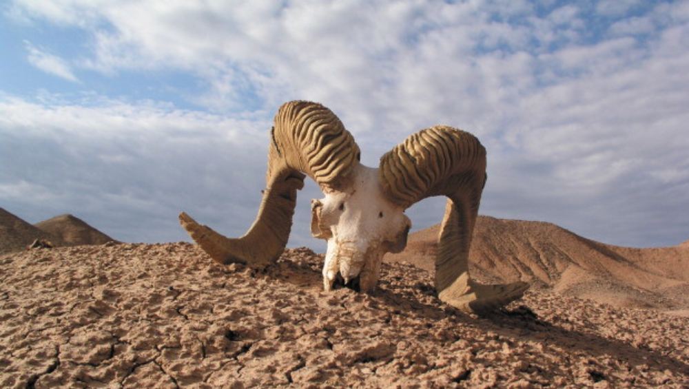 চিনের উত্তরাঞ্চলের অনেকটা অংশ জুড়ে রয়েছে এই মরুভূমি। চিনের জলবায়ুর উপরে মরুভূমির বিরূপ প্রভাব প্রকট হয়ে উঠত মূলত মার্চ এবং এপ্রিল মাসে।