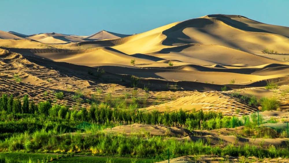 এই সমস্যা থেকে মুক্তি পেতে ১৯৭৮ সালে ‘সবুজ দেওয়াল’ (গ্রিন ওয়াল) নামে একটি প্রকল্প গ্রহণ করে চিন সরকার। গোবি মরুভূমির বুকে ‘সুবজ বিপ্লব’ ঘটায় চিন।